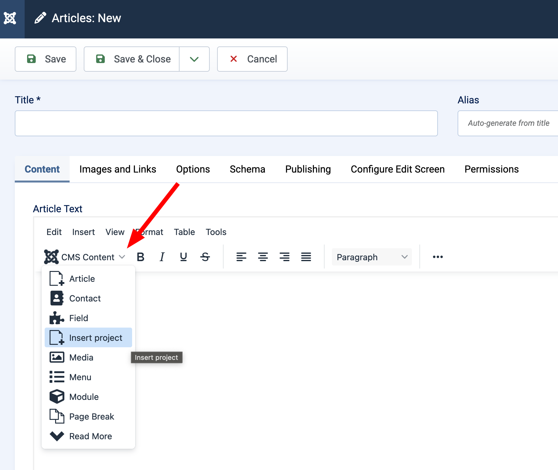 Detail of the expanded CMS Content button of Joomla! editor remarking the Insert Project button.